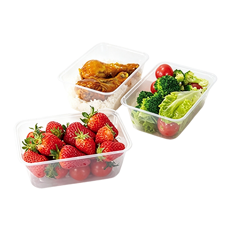 1000ml Rectangular Food Container Mold